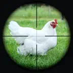 Chicken Hunting Sniper 3D iOS Icon