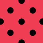Ladybug - Opens Radar Links iOS Icon