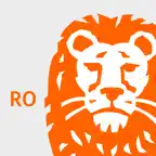 ING Business Romania Icon