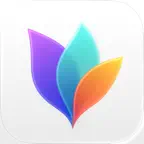 MindNode – Volume License iOS Icon