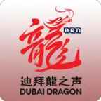 Dubai Dragon - 迪拜龙之声 iOS Icon