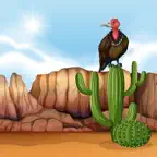 Birds & Cactus Stickers iOS Icon