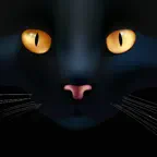 Animated Black Catmoji GIF iOS Icon