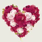 Loving Flower Stickers iOS Icon