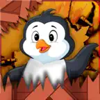cute Pets Survival Challenge iOS Icon