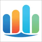 DataStorm Icon