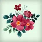 Watercolor Bouquets Stickers iOS Icon