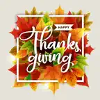 Thanksgiving Stickers!! iOS Icon