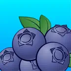 Smartirrigation Blueberry iOS Icon