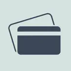 Prepaid Saldo Icon