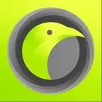 Waitbird (customer/patient) Icon