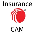 LexisNexis Insurance CAM Icon