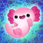 Axolochi iOS Icon
