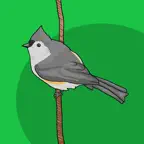 Word of the Bird iOS Icon