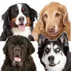 Dog Pack Stickers iOS Icon