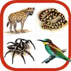Wildlife Southern Africa iOS Icon