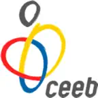 El Consell Icon