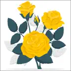 Yellow Rose Stickers iOS Icon