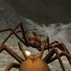 Spider Colony Simulator iOS Icon