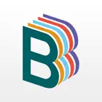 bDrive iOS Icon