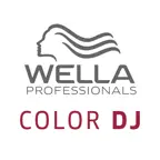 Color DJ iOS Icon