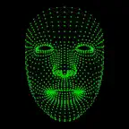 Face Mesh icon