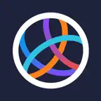 Spider Connect Icon