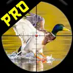 Jungle Birds Shooter Pro iOS Icon