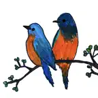Handdrawn Birds iOS Icon