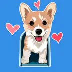 Corgi Dog top emoji & stickers iOS Icon