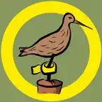 BirdRing Icon