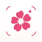 拍照识花 iOS Icon