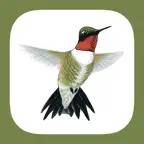 Sibley Guide to Hummingbirds iOS Icon