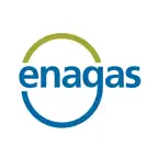 Enagás EnergyData Icon