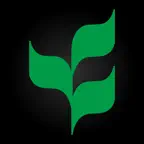 CBD Events Icon