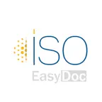 Iso Easy Doc Icon