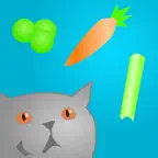 Healthy Shopping List iOS Icon
