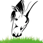 Equine Nutrition Calculator iOS Icon