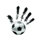 Fondazione Cannavaro Ferrara Icon