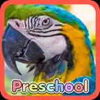 Wild Animal Preschool Games iOS Icon