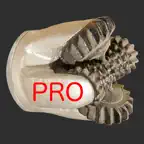 Texas Wells Pro iOS Icon