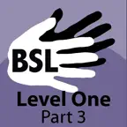 BSL Level One - Part 3 iOS Icon
