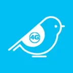 Birdie 4G iOS Icon