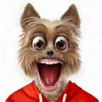 My Talking Animal & Pet App iOS Icon
