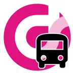 DataScope Haulier App iOS Icon