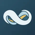 NetSuite iOS Icon