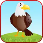 Learn Bird Sounds Coloring App iOS Icon