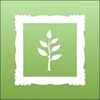 Memories Book Family History iOS Icon