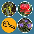 Plants of South Eastern NSW iOS Icon