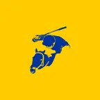 TVTurf iOS Icon